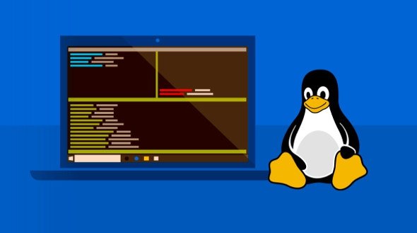 JAVATEKNO - Linux Dinilai Lebih Cepat Atasi Bug daripada Google, Windows, dan macOS