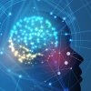 JAVATEKNO - Pendidikan dan Teknologi, Strategi UMG Idealab untuk Indonesia Emas 2045