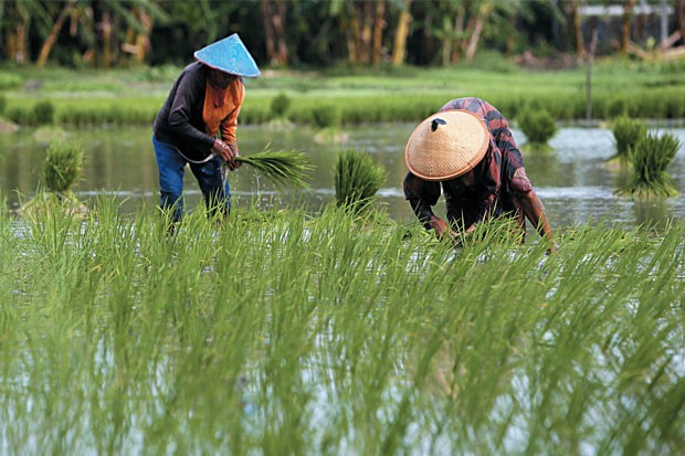 JAVATEKNO MITRA SOLUSI - Klaborasi Eratani dengan Bank Sulselbar: Solusi Pembiayaan untuk Petani Indonesia