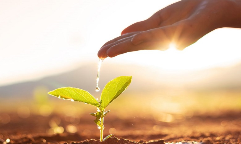 JAVATEKNO MITRA SOLUSI - Startup Tani Makmur Digital dan Trigger Asset Management Inisiasi Agritech Fund untuk Meningkatkan Ketahanan Pangan di Indonesia