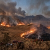 JAVATEKNO - Kawasan Wisata Gunung Bromo Ditutup Total Dampak Kebakaran Hutan Membesar